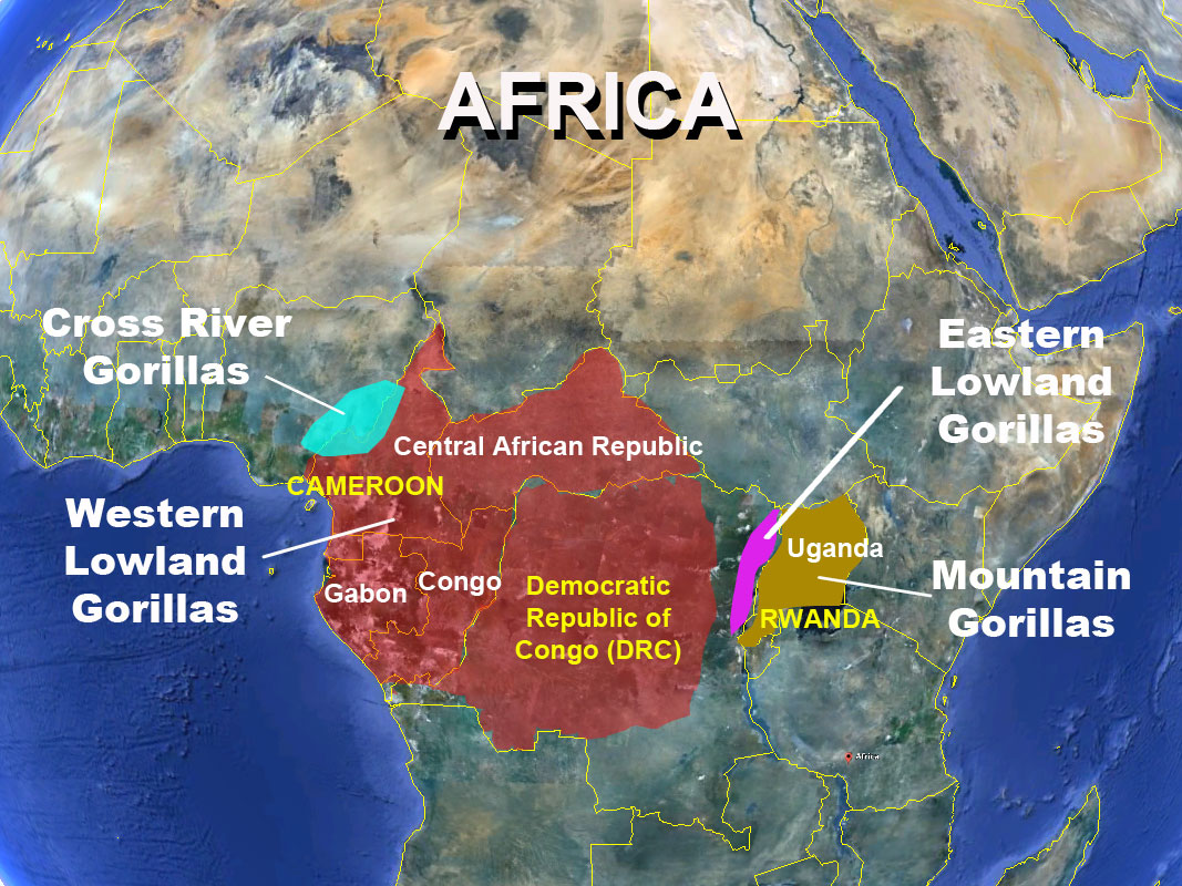 africa