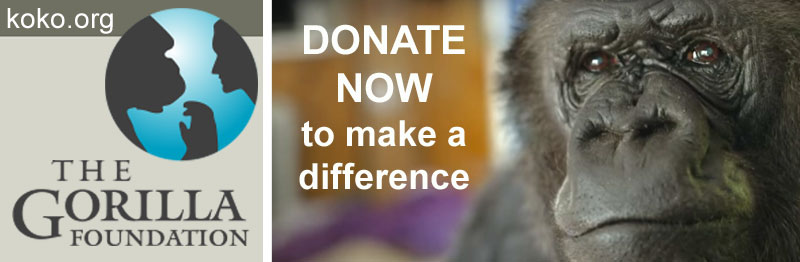 Donate