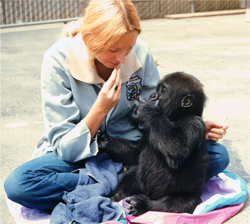 Baby Koko and Penny