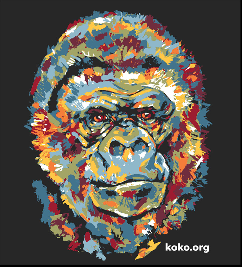 Man Koko-Love