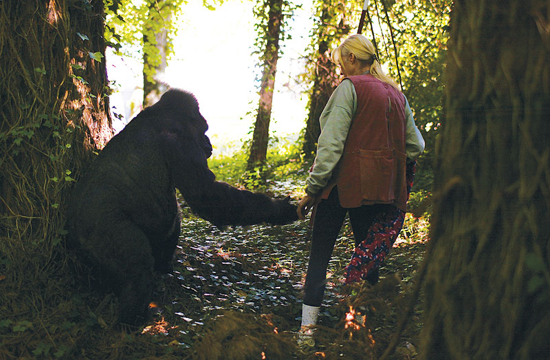 Koko and Penny envision a brighter future for great apes.