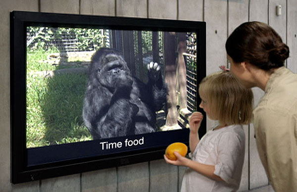 Koko and Kid