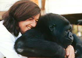 Dian Fossey