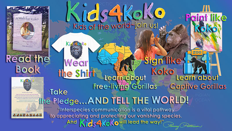 kids4koko