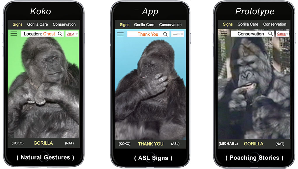 Koko App