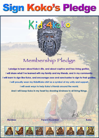 pledge