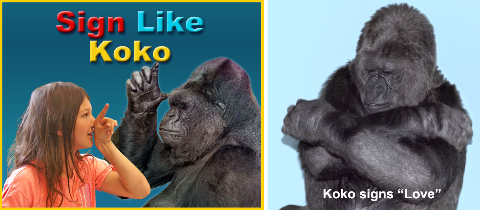 Koko Signing