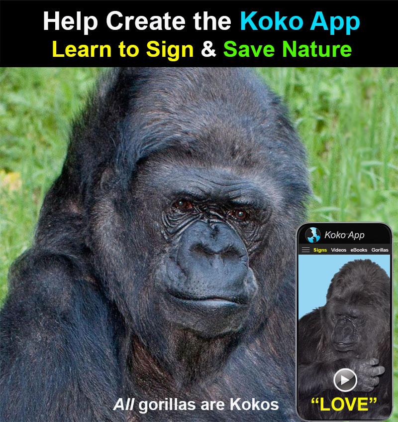 Will you take our survey