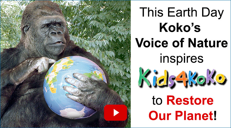 Will you take our survey