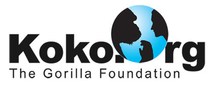 Koko.org Logo
