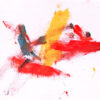 "Bird" by Koko