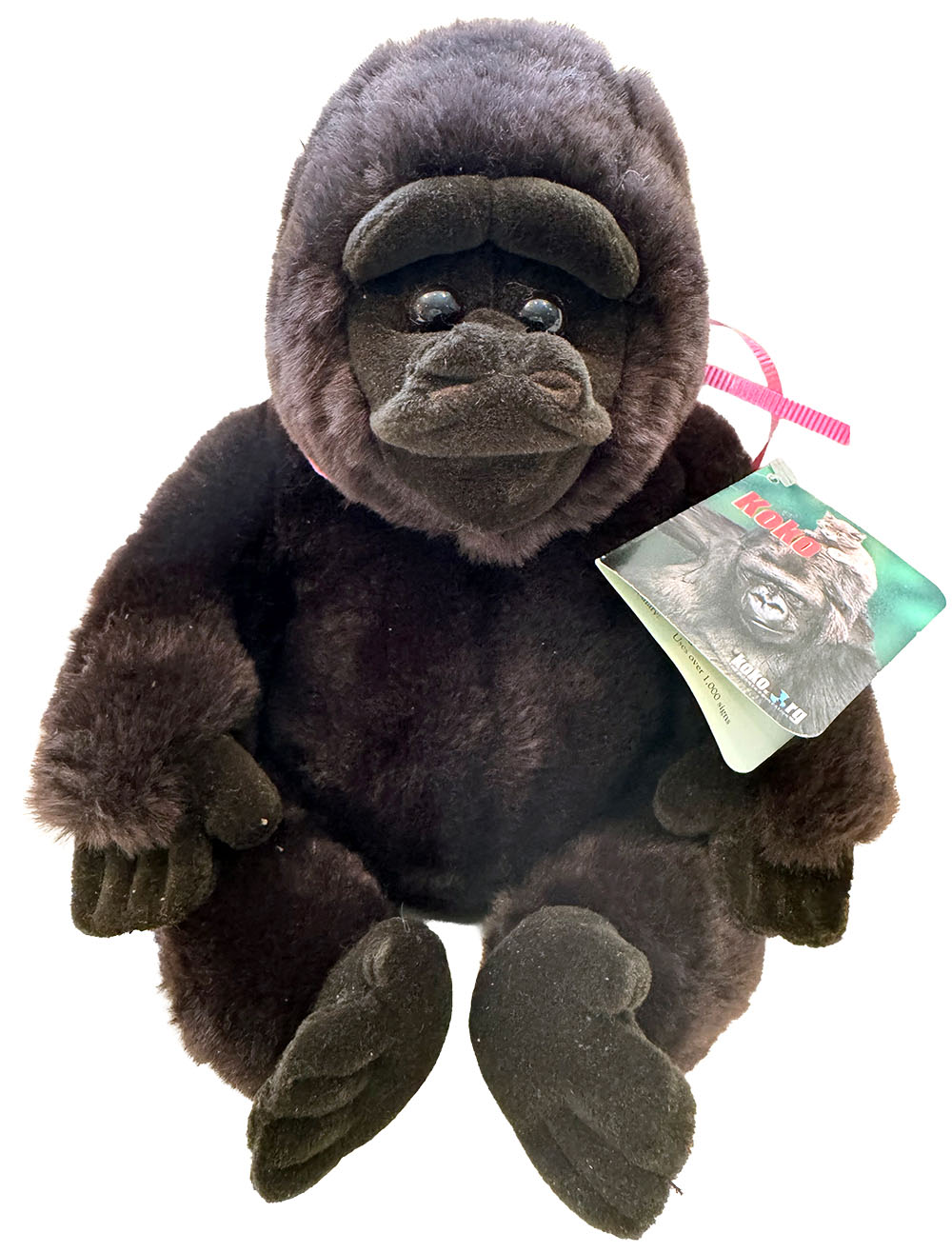 Koko Plush Koko Plush